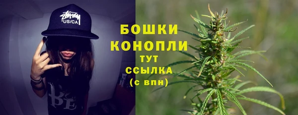 MESCALINE Аркадак