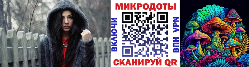 KRAKEN ONION Сунжа Псилоцибиновые грибы Psilocybe